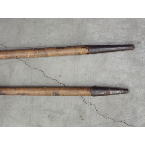 570 - Two 19th Century Lances with bamboo shafts, possibly Indian 11ft L