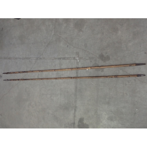 570 - Two 19th Century Lances with bamboo shafts, possibly Indian 11ft L