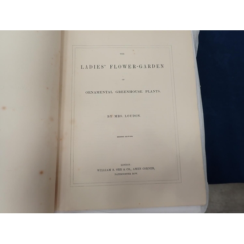 8 - MRS LOUDEN, The Ladies Flower Garden of Ornamental Perennials, Ornamental Bulbous Plants, Ornamental... 