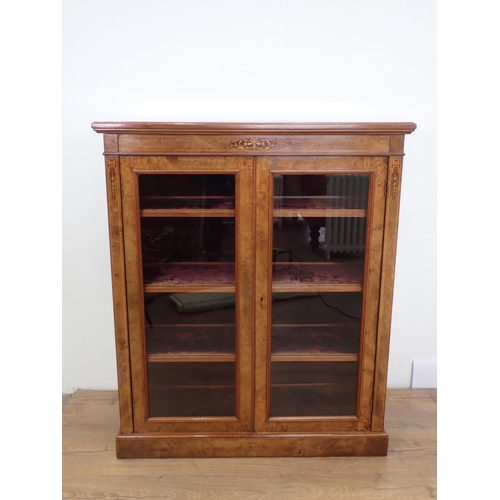 1050 - A Victorian burr walnut Pier Cabinet with pair of glazed doors, satinwood inlay on plinth, 3ft 8in