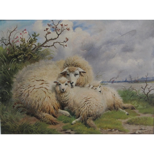 1096 - THOMAS GEORGE COOPER. At a riverside; and Sheep resting, signed and dated 1891, oil on canvas, 12 x ... 