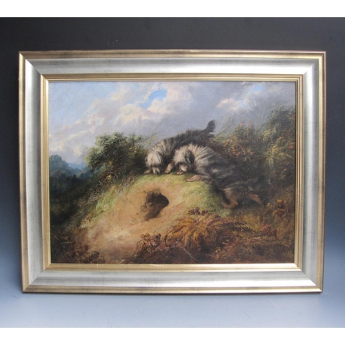 1109 - A.MEARNS. Terriers hunting, signed and dated '72, oil on canvas, 18 x 24in