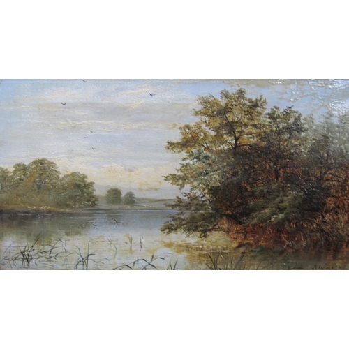 1129 - J.C.S. Tranquil river landscape, indistinctly signed, oil on canvas, 10 x 18in; two coloured strip m... 