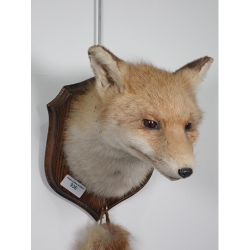 939 - A Fox Mask and Brush, on oak shield