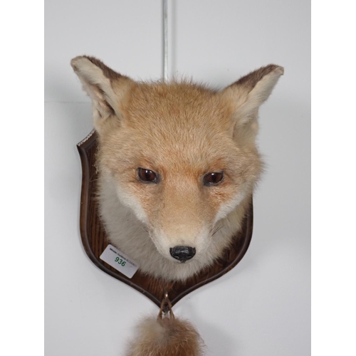 939 - A Fox Mask and Brush, on oak shield