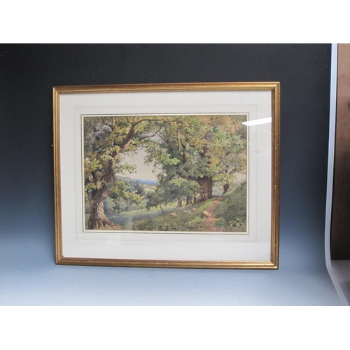 255 - H. WEBB. Sheep grazing under trees, signed, watercolour, 14 x 19 1/4in. (The location is said to be ... 