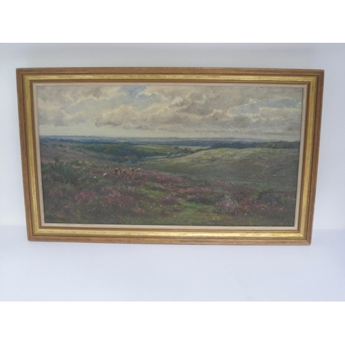 268 - FREDERICK GOLDEN SHORT. Extensive heathland view with cattle grazing, signed, oil on canvas, 10 x 18... 