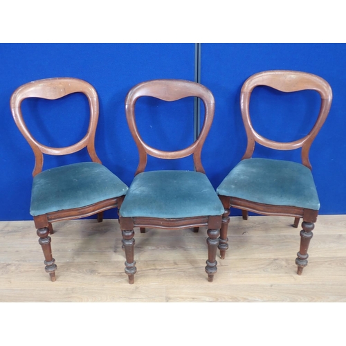 34B - A set of four Victorian balloon back Dining Chairs on turned front supports. AMENDMENT 4 NOT 3