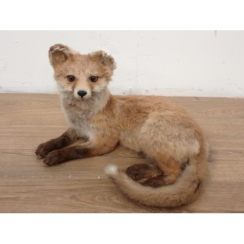 82 - A stuffed figure of a Fox, 14in L