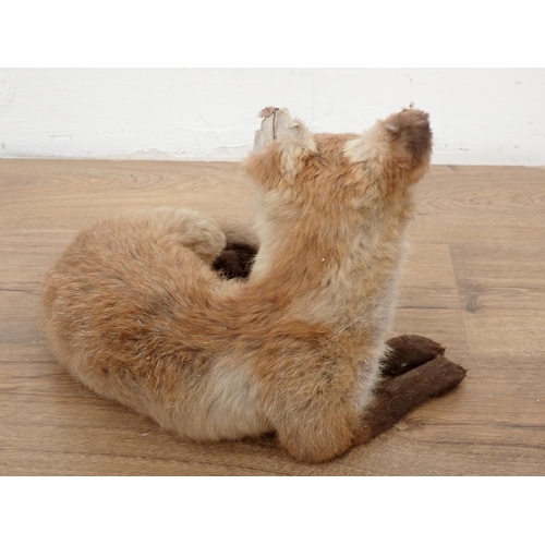 82 - A stuffed figure of a Fox, 14in L