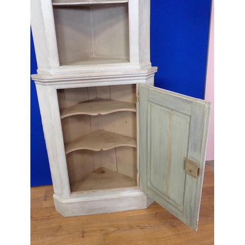 327 - A grey painted standing Corner Cupboard with open shelves above a single door, 6ft 2in H