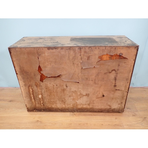 105 - An antique ebonised and glazed taxidermy Case displaying a mounted Fox with pheasant prey 3ft 4in W ... 