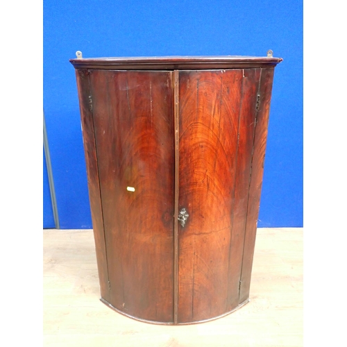 128 - A Georgian mahogany bow fronted hanging Corner Cupboard fitted pair of doors 3ft H x 2ft 1in W