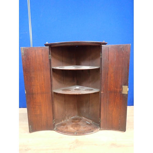 128 - A Georgian mahogany bow fronted hanging Corner Cupboard fitted pair of doors 3ft H x 2ft 1in W