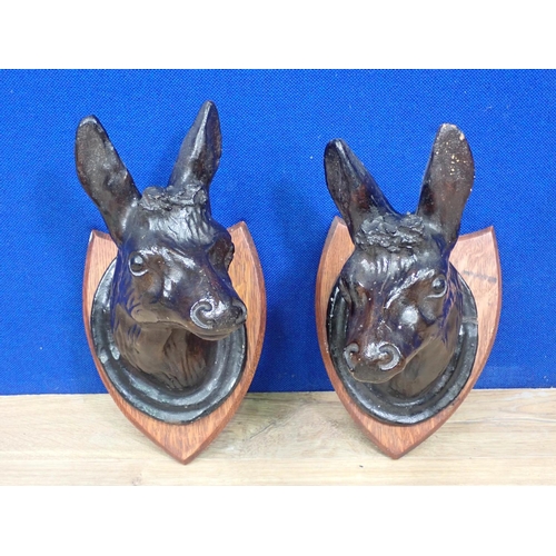 142 - A pair of treacle glazed plaster Goat's Heads on oak shields