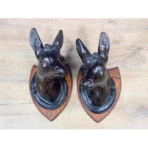 142 - A pair of treacle glazed plaster Goat's Heads on oak shields