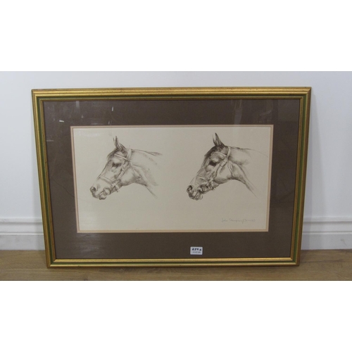 259A - AFTER JOHN SKEAPING. Horses Heads, reproduction, signed and numbered (31-150), 11 x 20in; together w... 