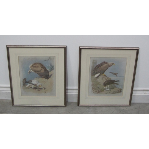 284 - AFTER ARCHIBALD THORBURN. Osprey; and Griffon Vulture, colour prints, 14 x 12in; and three other pri... 