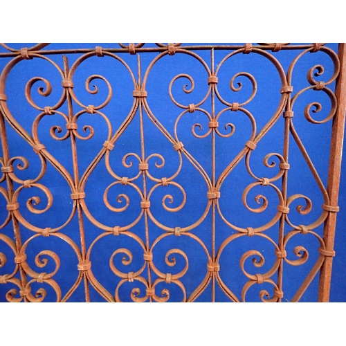 32 - A wrought iron scrolled Fire Screen 4ft W x 3ft 2in H