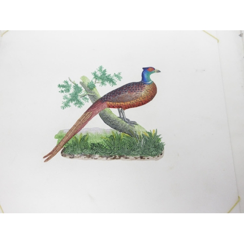 381 - A 19th Century Album of Watercolours, Prints, Verses, Flowers, embossed Birds, etc