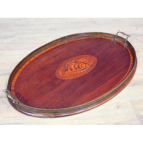 480 - A 19th Century mahogany and shell inlaid two handled Tray 2ft 2in W