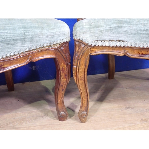 487 - A pair of Franch walnut cane backed Elbow Chairs with blue cushioned seats