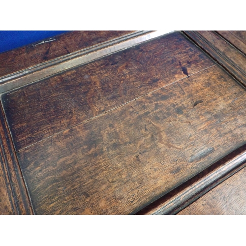 491 - A 17th Century West Country oak two panel Coffer with carved foliate decoration 4ft W x 2ft H