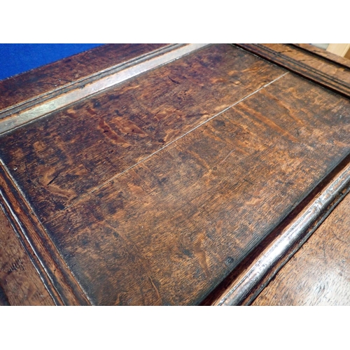 491 - A 17th Century West Country oak two panel Coffer with carved foliate decoration 4ft W x 2ft H