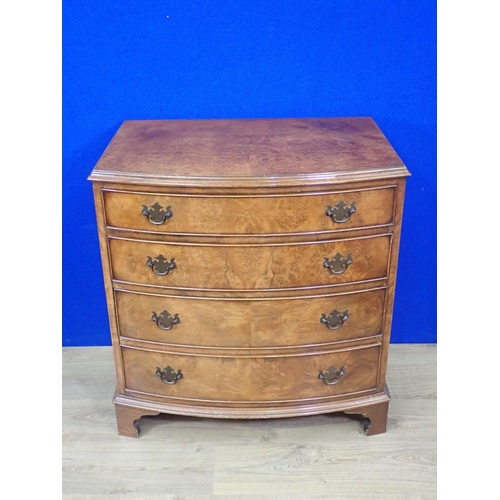 536 - A burr walnut veneered bow fronted Chest of four drawers on bracket feet 2ft 9in H x 2ft 7in W