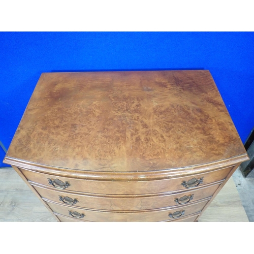 536 - A burr walnut veneered bow fronted Chest of four drawers on bracket feet 2ft 9in H x 2ft 7in W