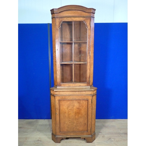 537 - A burr walnut and mahogany veneered standing Corner Cabinet 6ft 1in H x 2ft 1in W