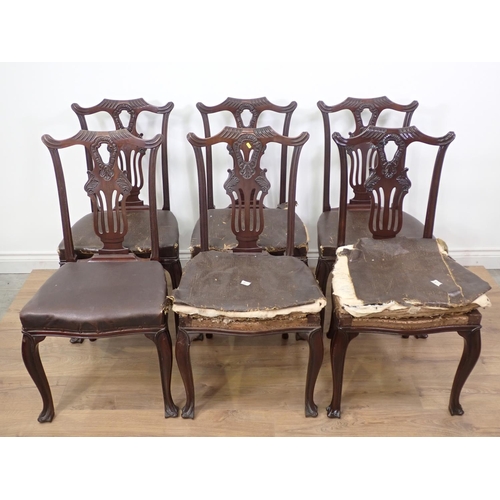 581 - A set of six mahogany Dining Chairs with leather effect seats in need of attention