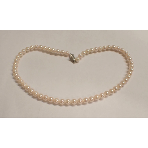 173 - A single row of Cultured Pearls on clasp stamped SILVER set single pearl, approx 42cms long