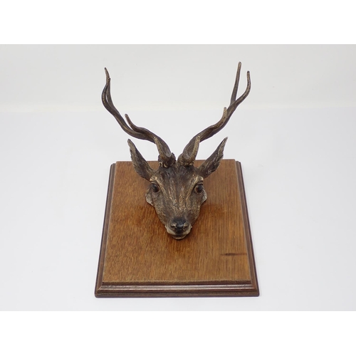 339 - An Austrian cold painted bronze Paper/Letter Clip in the form of a Stags Head mounted on an oak plaq... 