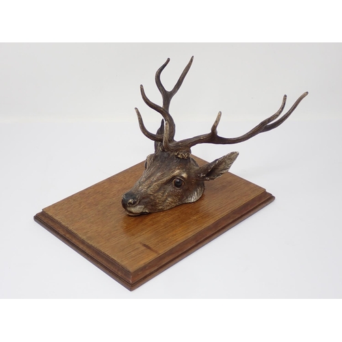 339 - An Austrian cold painted bronze Paper/Letter Clip in the form of a Stags Head mounted on an oak plaq... 