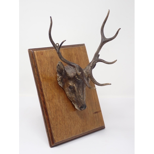 339 - An Austrian cold painted bronze Paper/Letter Clip in the form of a Stags Head mounted on an oak plaq... 