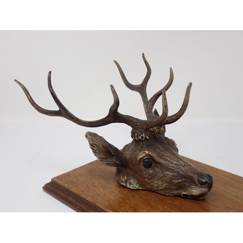 339 - An Austrian cold painted bronze Paper/Letter Clip in the form of a Stags Head mounted on an oak plaq... 