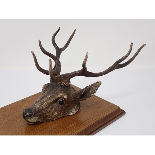 339 - An Austrian cold painted bronze Paper/Letter Clip in the form of a Stags Head mounted on an oak plaq... 