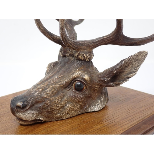 339 - An Austrian cold painted bronze Paper/Letter Clip in the form of a Stags Head mounted on an oak plaq... 