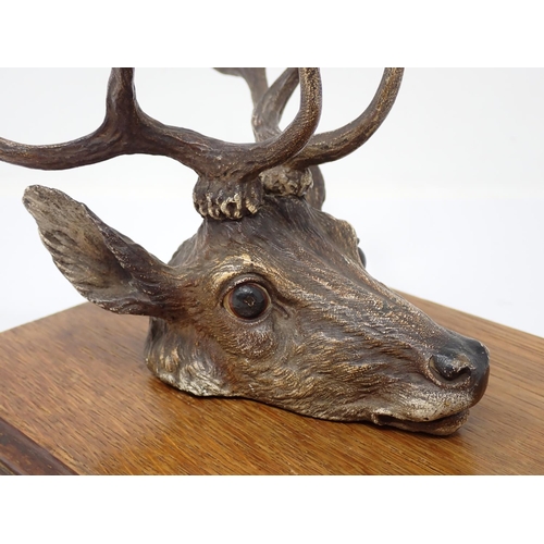 339 - An Austrian cold painted bronze Paper/Letter Clip in the form of a Stags Head mounted on an oak plaq... 