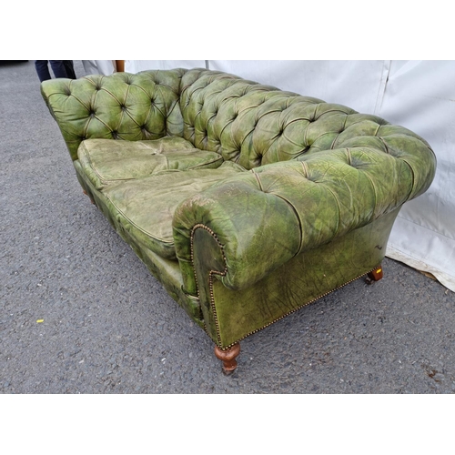 391 - A green leather button upholstered Chesterfield Settee on turned walnut front supports and casters, ... 