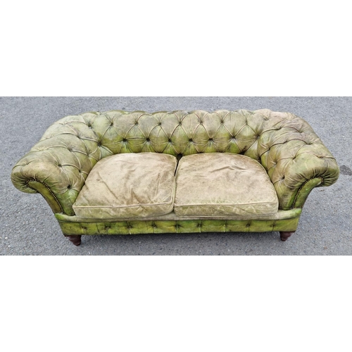 391 - A green leather button upholstered Chesterfield Settee on turned walnut front supports and casters, ... 