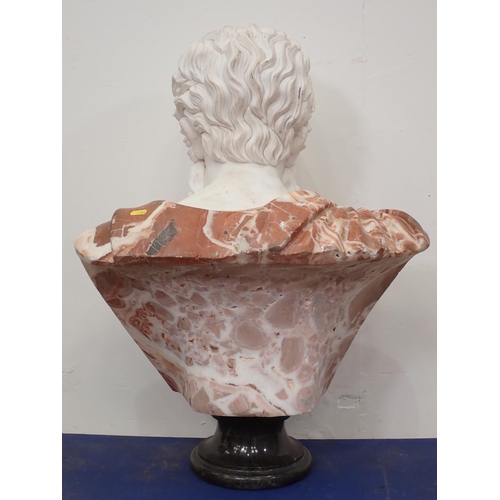 439 - A large marble Bust of a classical gentleman 2ft 6in H