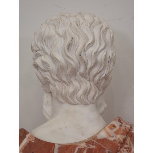 439 - A large marble Bust of a classical gentleman 2ft 6in H