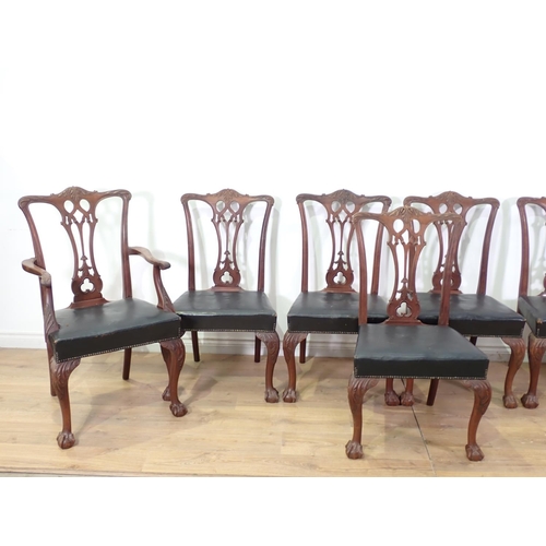 482 - A 19th Century set of seven carved mahogany Dining Chairs, the shaped top rails of pierced splats ab... 