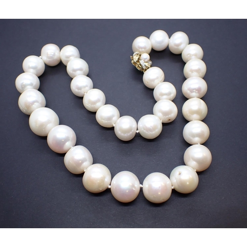 182 - A single row of large graduated Cultured Freshwater Pearls on 9ct gold clasp set single pearl