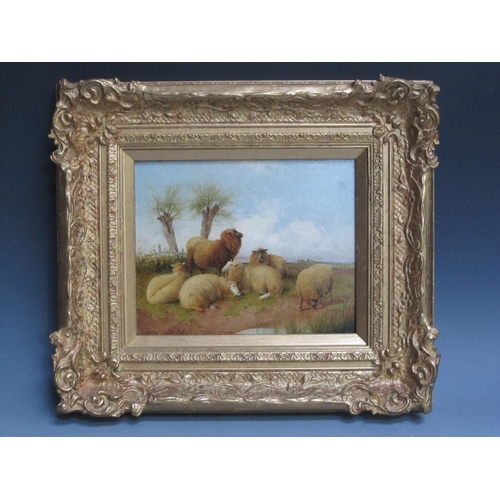 427 - FREDERICK E. VALTER. Sheep resting and Cattle resting, signed, oil on board, 7 1/2 x 10in; a pair (2... 