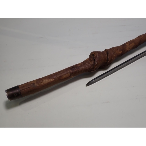 459 - A 19th Century French type Socket Bayonet and a Walking Stick