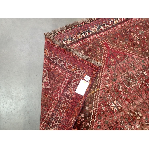 559 - A large red ground Shiraz Rug with multiple borders 11ft 4in x 7ft 6in