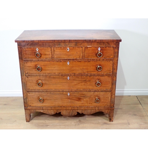 483 - A 19th Century mahogany and crossbanded Chest of three short and three long drawers above shaped apr... 